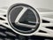 2024 Lexus RX 350 Luxury